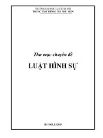 LUẬT HÌNH SỰ