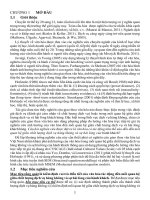 KIỂM ĐỊNH VAI TRÒ ĐIỀU TIẾT CỦA VĂN HÓA TÁC ĐỘNG ĐẾN MỐI QUAN HỆ GIỮA CHẤT LƯỢNG DỊCH VỤ HÀNG KHÔNG VÀ SỰ HÀI LÒNG CỦA HÀNH KHÁCH