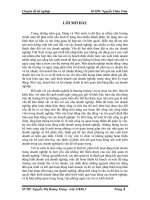 Tổ chức kế toán tiêu thụ sản phẩm, xác định và phân tích kết quả kinh doanh tại Công ty cổ phần Cao su Đà Nẵng