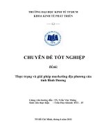Thực trạng và giải pháp marketing địa phương của tỉnh bình dương  