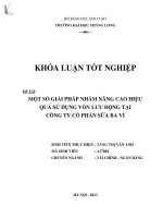 Một số giải pháp nhằm nâng cao hiệu quả sử dụng vốn lưu động tại Công ty cổ phần sữa Ba Vì