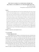PHÂN TÍCH TÁC ĐỘNG CỦA CỔ PHẦN HÓA LÊN HIỆU QUẢ HOẠT ĐỘNG VÀ TÀI CHÍNH CỦA CÁC DOANH NGHIỆP VIỆT NAM
