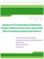 Application of the Ecosystem Model to the Mathematical Simulation of Water Environment Dynamic under Anaerobic State in the Organically Polluted Agricultural Reservoir