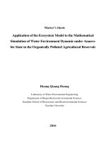 Application of the Ecosystem Model to the Mathematical Simulation of Water Environment Dynamic under Anaerobic State in the Organically Polluted Agricultural Reservoir