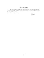 Một số giải pháp nhằm tăng cường công  tác quản lý thu, chi NSNN tại huyện anh sơn, tỉnh nghệ an