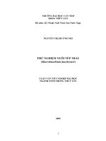 THỬ NGHIỆM NUÔI TÉP TRẤU (Macrobrachium lanchesteri)