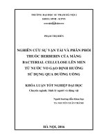 Nghiên cứu sự vận tải và phân phối thuốc berberin của màng bacterial cellulose lên men từ nước vo gạo định hướng sử dụng qua đường uống