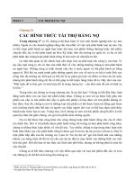 Bài dịch môn tài chính doanh nghiệp các hình thức tài trợ bằng nợ 