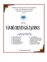 Đề tài chuyển giá tại MNCS