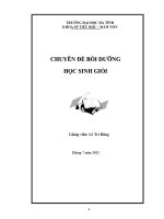 Chuyên đề bồi dưỡng hsg toán tiểu học