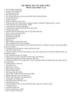 He Thong Kien thuc phan loai thuc vat