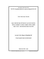 Hạn chế rủi ro tín dụng tại Ngân hàng Nông nghiệp và Phát triển Nông thôn Việt Nam  Chi nhánh Thái Nguyên (LV thạc sĩ)