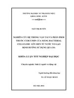 Nghiên cứu hệ thống vận tải và phân phối thuốc curcumin của màng bacterial cellulose lên men từ nước vo gạo định hướng sử dụng qua da 