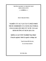 Nghiên cứu sự vận tải và phân phối thuốc berberincủa màng bacterial cellulose lên men từ nước vo gạo định hướng sử dụng qua da