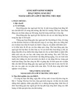 SKKN: Hoạt động giáo dục ngoài giờ lên lớp ở trường tiểu học