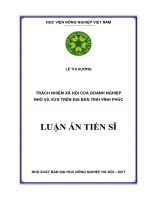 Trách nhiệm xã hội của doanh nghiệp nhỏ và vừa trên địa bàn tỉnh Vĩnh Phúc (LA tiến sĩ)