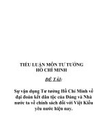 Sự vận dụng Tư tưởng Hồ Chí Minh về đại đoàn kết dân tộc của Đảng và Nhà nước ta về chính sách đối với Việt Kiều yêu nước hiện nay