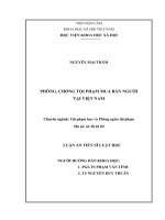 Phòng, chống tội phạm mua bán người tại việt nam 