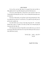 Nghiên cứu giải pháp xử lý nền hệ thống kè cao xanh, thành phố hạ long, tỉnh quảng ninh 