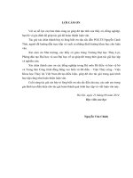 Nghiên cứu ảnh hưởng của các tải trọng nhà lân cận đến ổn định mái dốc 