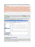 học về batch file cái cơ bản để hack win