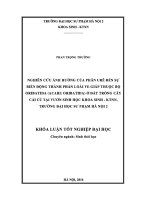 Nghiên cứu ảnh hưởng của phân Urê đến sự biến động về thành phần loài Ve giáp thuộc bộ Oribatida (Acari Oribatida) ở đất trồng cây cải củ tại vườn Sinh học Khoa Sinh – KTNN, trường Đại học Sư phạm Hà Nội 2 (LV tốt nghiệp)