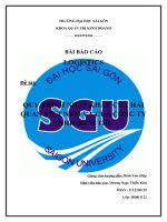 quy trình nhập khẩu của hải quan việt nam và của công ty tnhh bích thư