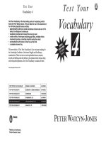 Test your vocabulary 4 (upper inter to CAE)