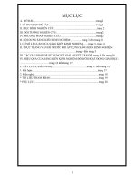 Một số biện pháp dạy trẻ 56 tuổi ở trường mầm Nga Tiến định hướng về thời gian