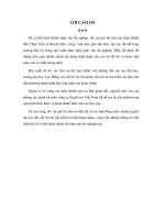 Hoàn thiện công tác kế toán quản trị chi phí tại công ty scancom việt nam 