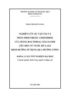 Nghiên cứu sự vận tải và phân phối thuốc Cimetidine của màng Bacterial cellulose lên men từ nước dừa già định hướng sử dụng qua đường uống (LV tốt nghiệp)