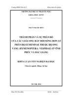 Thành phần và sự phân bố của các loài ong bắt mồi sống đơn lẻ phân họ Eumeninae thuộc họ ong Vàng (Hymenoptera Vespidae) ở Vĩnh Phúc và Bắc Gian (LV tốt nghiệp)