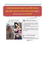 Tuyển tập 100 và đáp án chi tiết các đề đọc hiểu tiếng anh cực sát với kì thi THPT quốc gia 2017