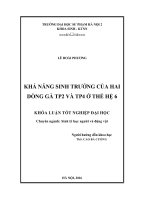 Khả năng sinh trưởng của hai dòng gà TP2 và TP4 ở thế hệ 6 (LV tốt nghiệp)
