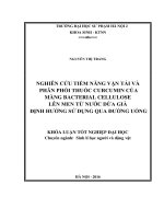 Nghiên cứu tiềm năng vận tải và phân phối thuốc Curcumin của màng Bacterial cellulose lên men từ nước dừa già định hướng sử dụng qua đường uống