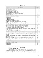 SKKN mầm non: MỘT SỐ BIỆN PHÁP NÂNG CAO CHẤT LƯỢNG LÀM QUEN VỚI CHỮ CÁI CHO TRẺ MẪU GIÁO  5  6 TUỔI  TẠI TRƯỜNG MẦM NON NGA THÁI