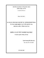 Đa dạng sinh học bộ Phù du (Ephemeroptera) ở á đai 16002600m tại Vườn quốc gia Hoàng Liên, tỉnh Lào Cai (LV tốt nghiệp)