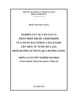 Nghiên cứu sự vận tải và phân phối thuốc Cimetidine của màng Bacterial cellulose lên men từ nước dừa già định hướng sử dụng qua đường uống