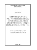 Nghiên cứu sự vận tải và phân phối thuốc Berberin của màng Bacterial cellulose lên men từ nước dừa già định hướng sử dụng qua đường uống (LV tốt nghiệp)