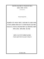 Nghiên cứu nhận thức, thái độ về sức khỏe sinh sản và tình trạng nạo phá thai lứa tuổi vị thành niên tại trường THPT Yên Lãng  Mê Linh  Hà Nội (LV tốt nghiệp)