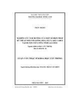 Nghiên cứu ảnh hưởng của một số biện pháp kỹ thuật đối với giống hoa lily Lake Carey tại huyện Tân Uyên, tỉnh Lai Châu (LV thạc sĩ)