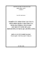 Nghiên cứu tiềm năng vận tải và phân phối thuốc Curcumin của màng Bacterial cellulose lên men từ nước dừa già định hướng sử dụng qua đường uống (LV tốt nghiệp)