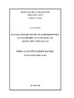 Nghiên cứu đa dạng sinh học bộ Phù du (Ephemeroptera) ở á đai 300600m tại Vườn quốc gia Hoàng Liên, tỉnh Lào Cai (LV tốt nghiệp)