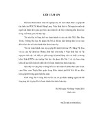 Thành phần sâu hại thuộc bộ cánh vảy trên đậu tương và vai trò các loài côn trrùng kí sinh của chúng ở khu vực Hà Nội và phụ cận (LV tốt nghiệp)