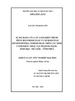 Sự đa dạng của các loài kiến thuộc phân họ Formicinae và Myrmicinae (Hymenoptera Formicidae) trên các sinh cảnh khác nhau tại Trạm đa dạng Sinh học Mê Linh – Vĩnh Phúc(LV tốt nghiệp)
