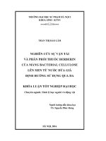 Nghiên cứu sự vận tải và phân phối thuốc Berberin của màng Bacterial cellulose lên men từ nước dừa già định hướng sử dụng qua da (LV tốt nghiệp)