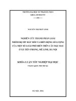 Nghiên cứu thành phần bọ xít bắt mồi và biến động số lượng của một số loài phổ biến trên cây đậu rau ở xã Tiền Phong, Mê Linh, Hà Nội (LV tốt nghiệp)