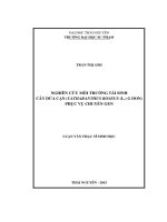 Nghiên cứu môi trường tái sinh cây dừa cạn (Catharanthus roseus (L.) G. Don) phục vụ chuyển gen (LV thạc sĩ)