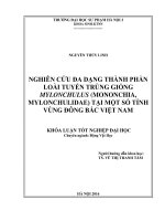 Nghiên cứu đa dạng thành phần loài tuyến trùng giống Mylonchulus (Mononchia, Mylonchulidae) tại một số tỉnh vùng Đông Bắc Việt Nam (LV tốt nghiệp)