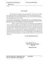 Thiết kế hệ dẫn động xích tải (file cad + word)